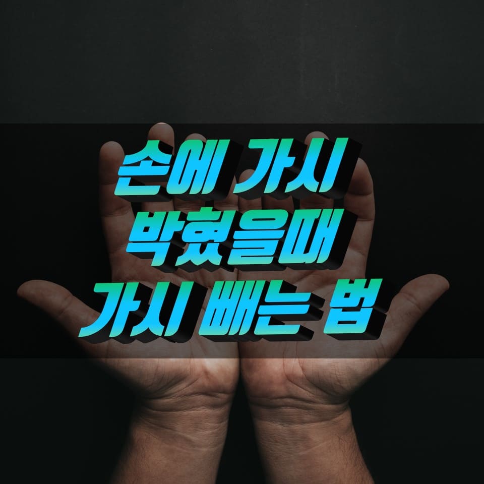 손에-가시-박혔을때-가시-빼는-법