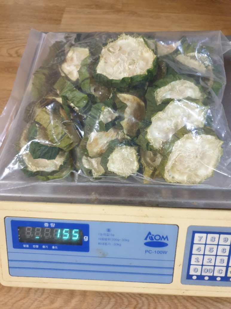 수세미 차코로나시대에 관심받고있는 1