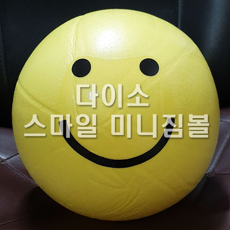  다이소 스마일 미니짐볼 20cm 구입기 입니다.