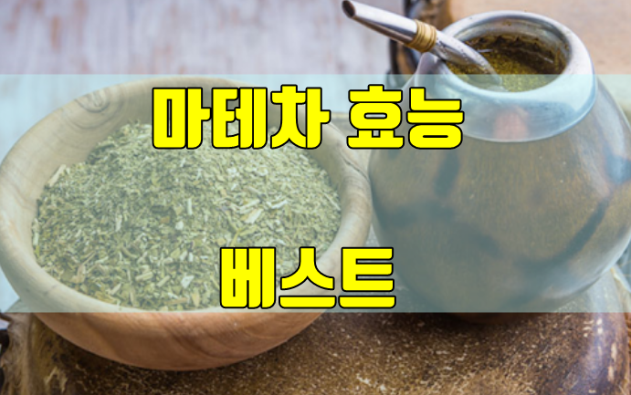  마테차 효능 알아보기