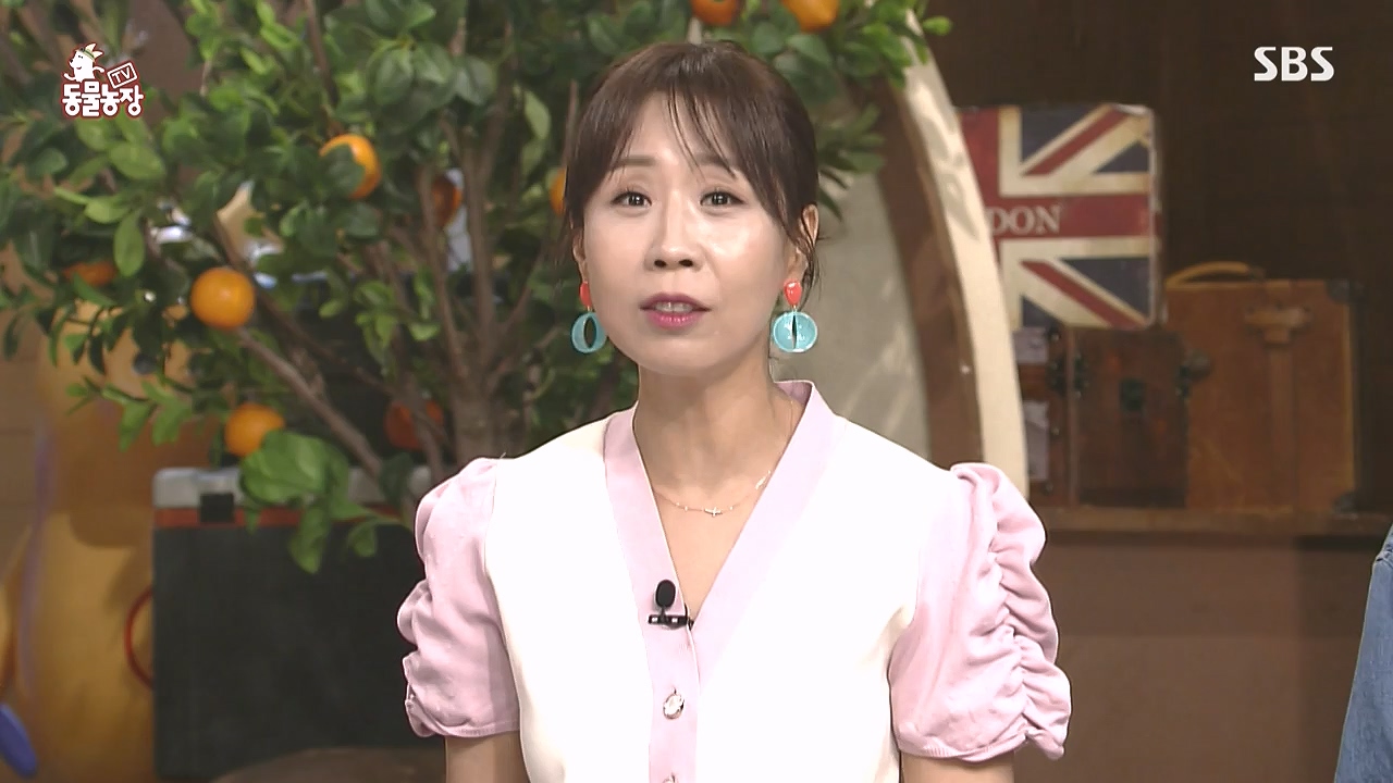 TV 동물농장.E1183.240805p-NEXT.mp4_20240804_154929.447.jpg