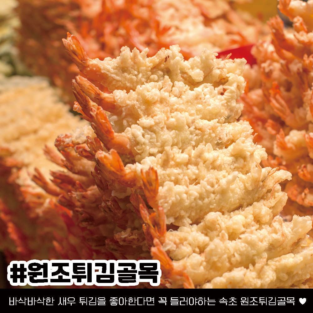 속초 가볼만한 곳, 속초여행 코스 정리 (+위치 핫플 가격)
