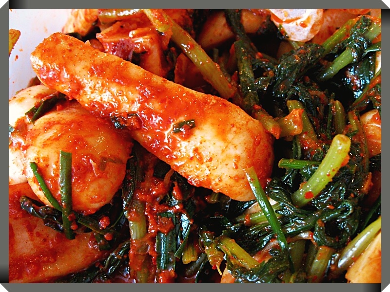  김치유산균 코로나에 효과 있나요?