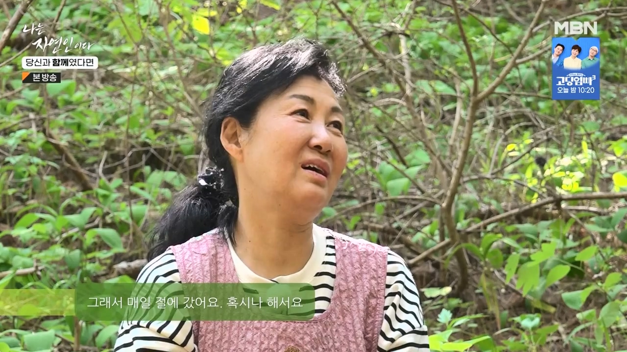 나는 자연인이다.E556.230532p-NEXT.mp4_20230601_201505.153.jpg