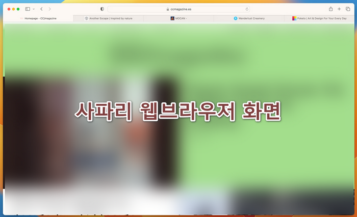 사파리브라우저-실행화면