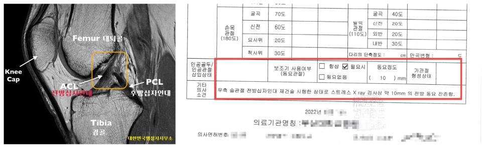 행정사사무소본 이미지
