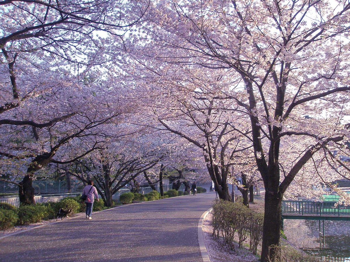 오미야 공원