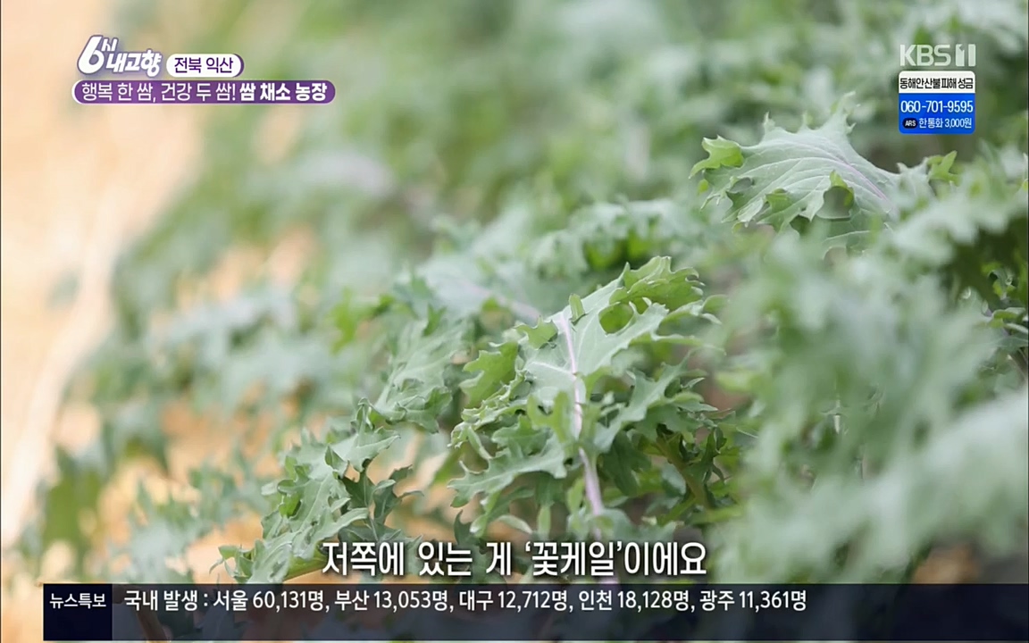 6시 내고향.E7501.220332p.H264-F1RST.mp4_20220402_193619.618.jpg