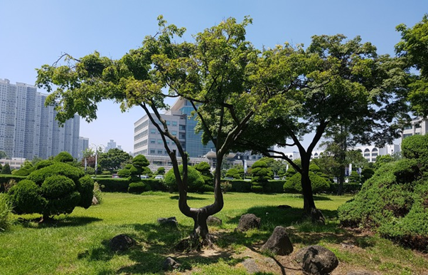 인하대학교 교직원식당 이미지