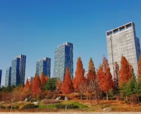 송도 센트럴파크