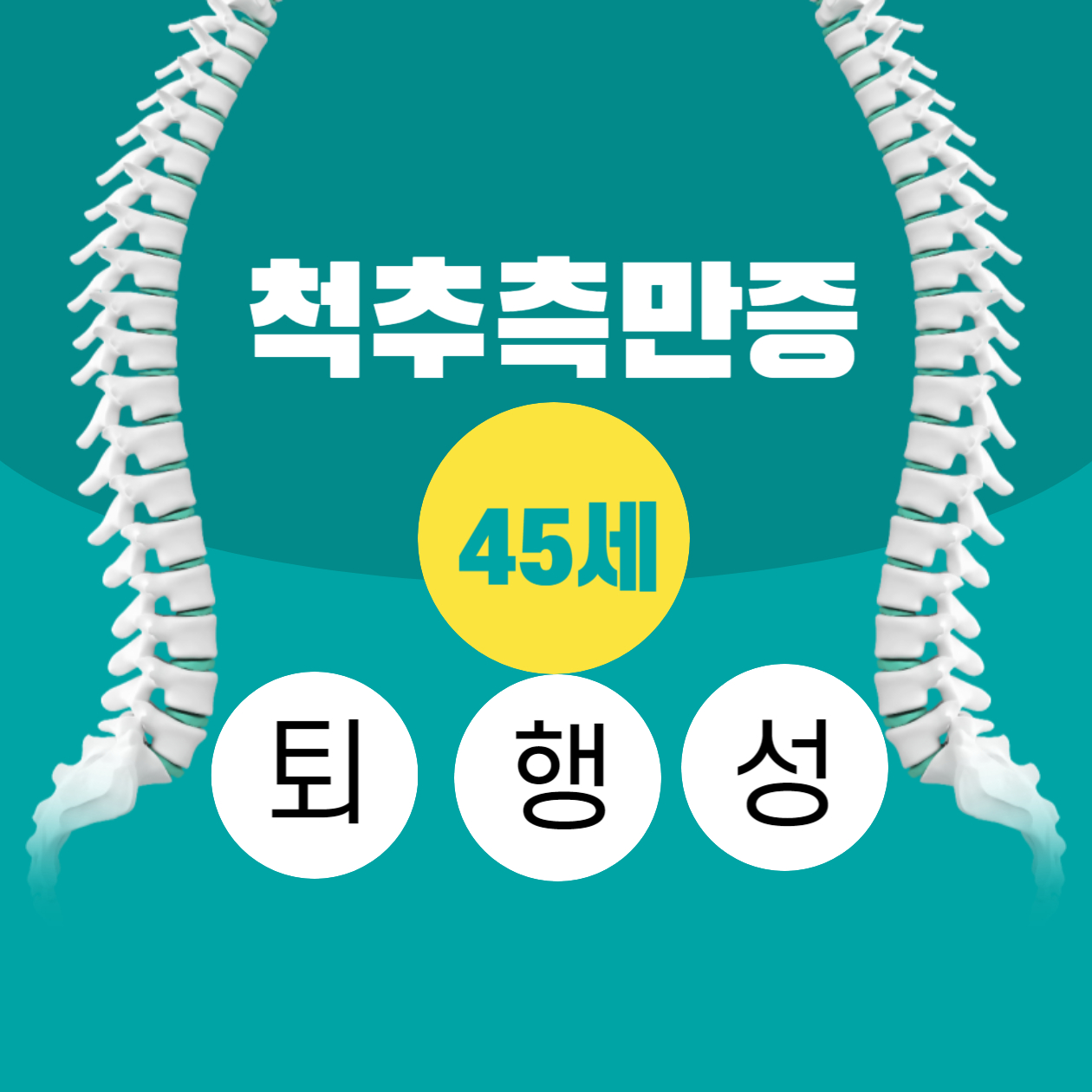  퇴행성 척추측만증(45세 이상) 원인 증상 치료 알아보기
