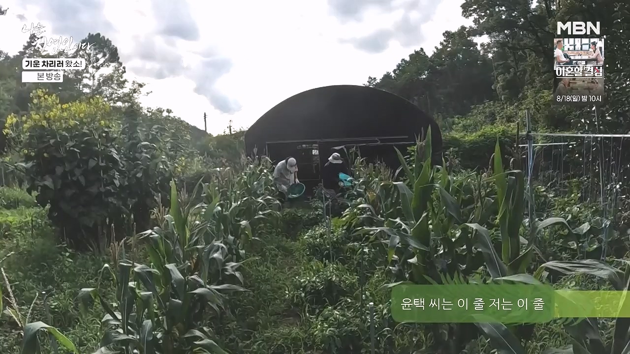 나는 자연인이다.E617.240808p-NEXT.mp4_20240808_195048.820.jpg