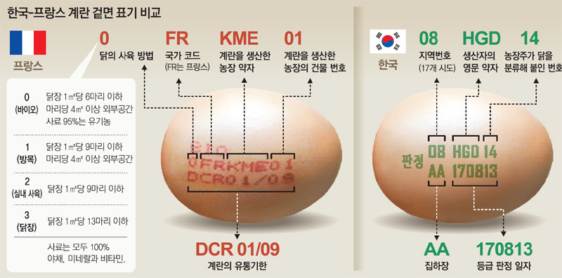 좋은계란 이미지