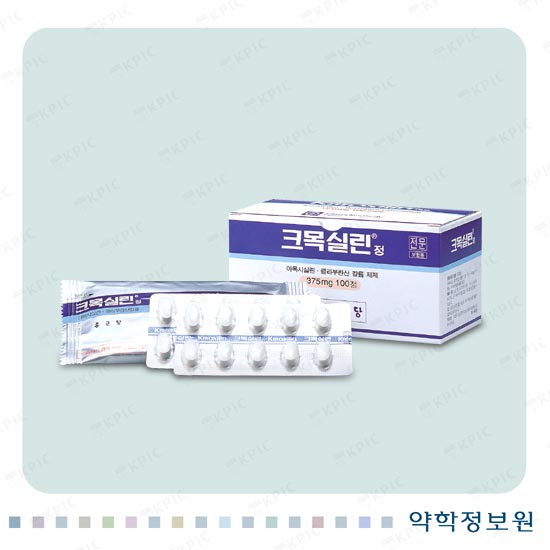 크목실린정375mg 효능 &#124; 부작용 &#124; 가격 &#124; 투약법 &#124; 효과