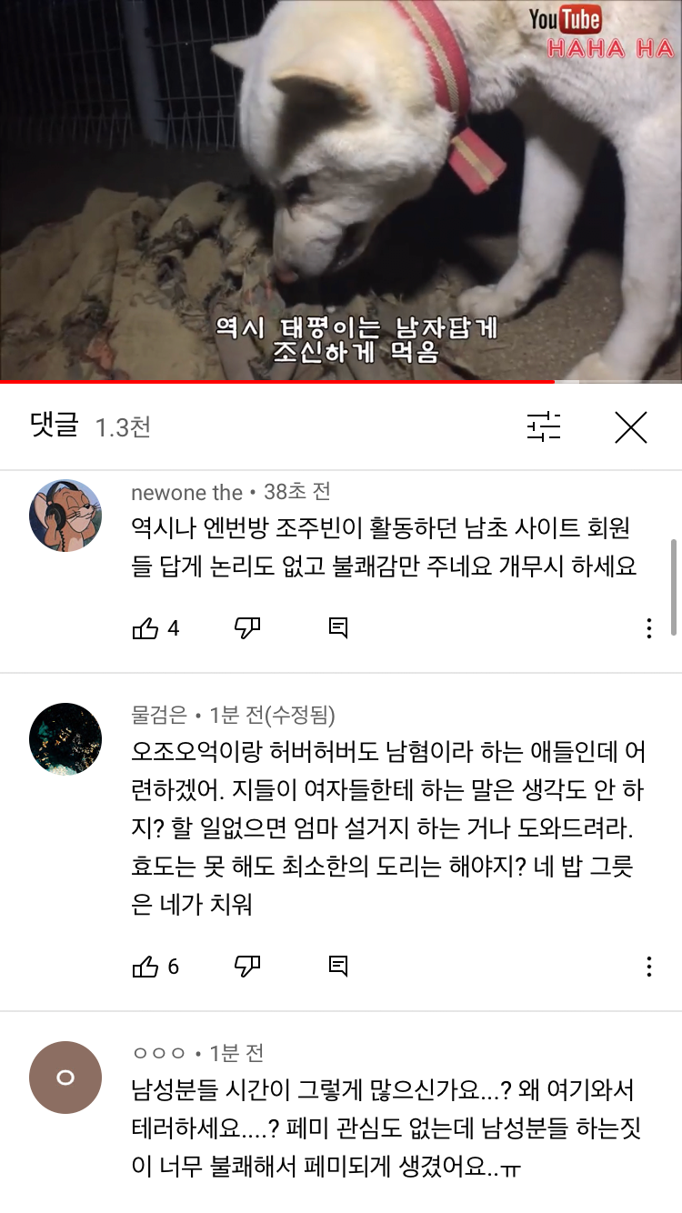 동물 유튜버 haha ha(하하하) 남성혐오단어 사용 논란