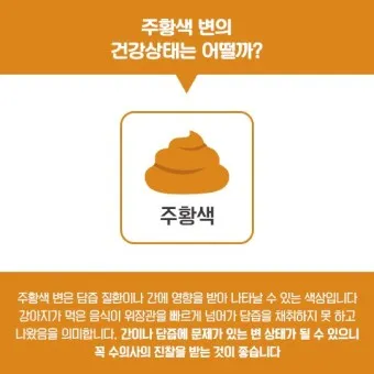 변색깔 건강 붉은색변 초록색변 검은색변_18