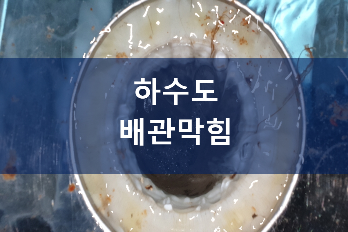  막힌 변기업체 하수도 배관막힘