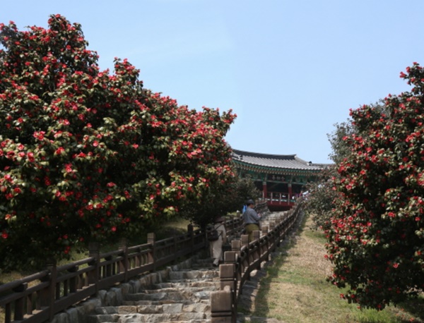 충남 가볼만한 곳 베스트10