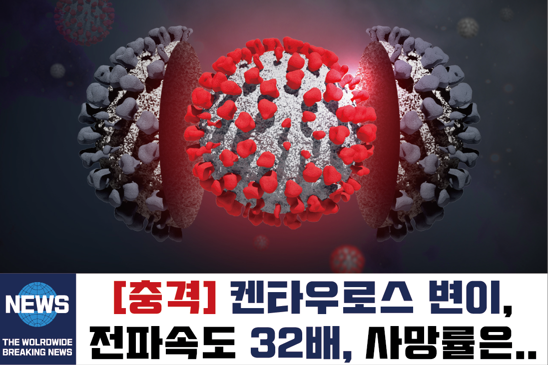  코로나 켄타우로스 변이 전문가, '켄타우로스 변이 전파력 전파속도는 오미크론 32배' +증상 치명률 치사율 중증화율