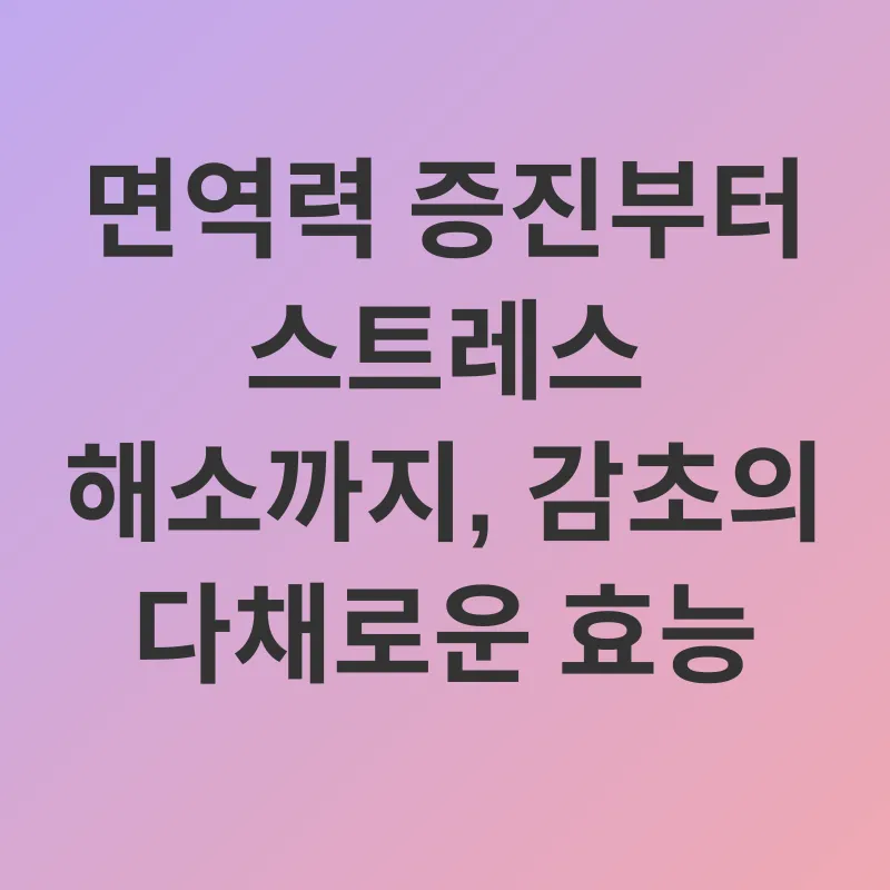 감초 효능_2