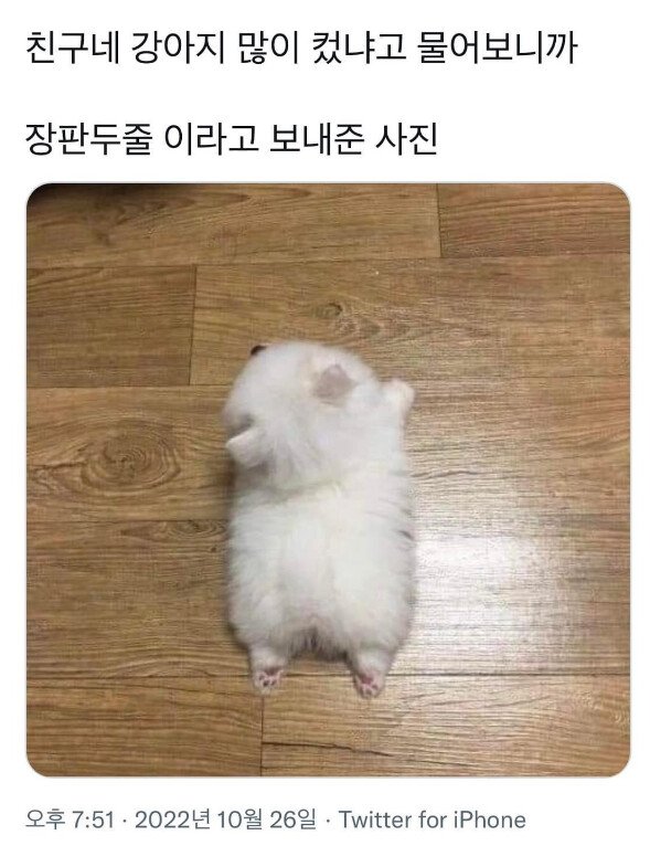 img.jpg