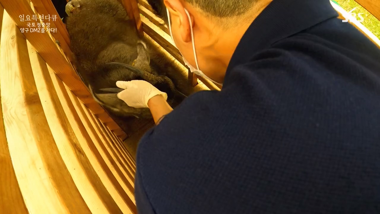 일요특선 다큐멘터리.E344.231204p-NEXT.mp4_20231206_194847.384.jpg