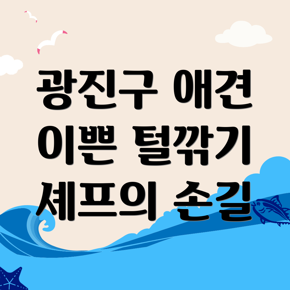 애견미용
