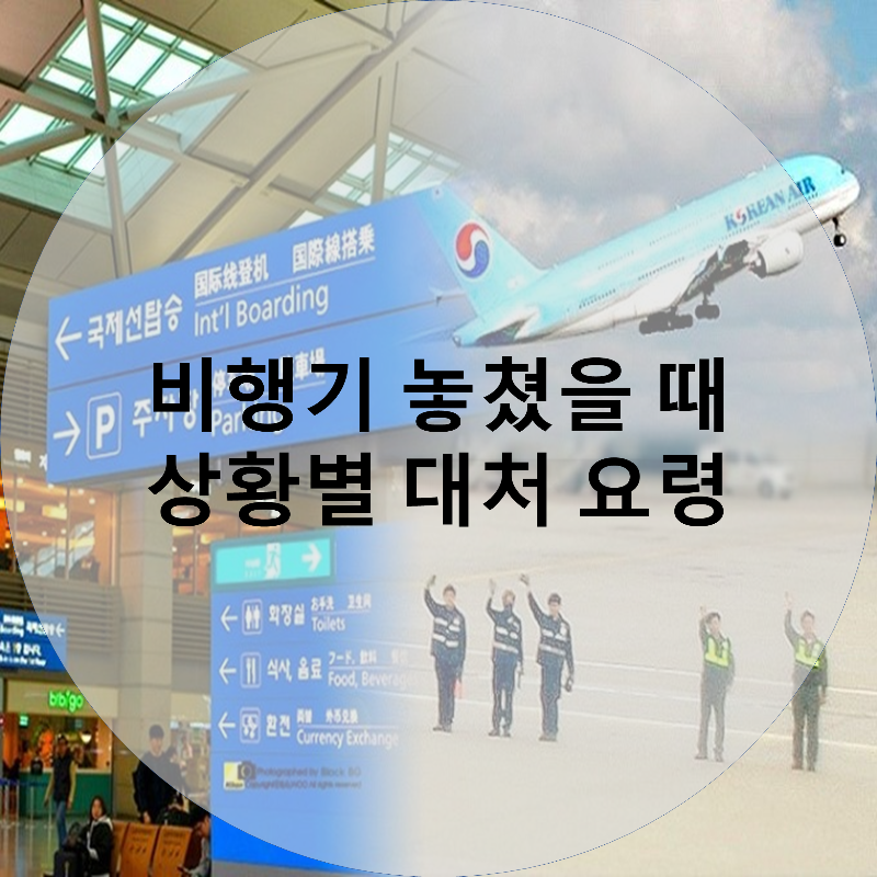  비행기 놓쳤을 때 상황별 대처방안, 노쇼 위약금 정리