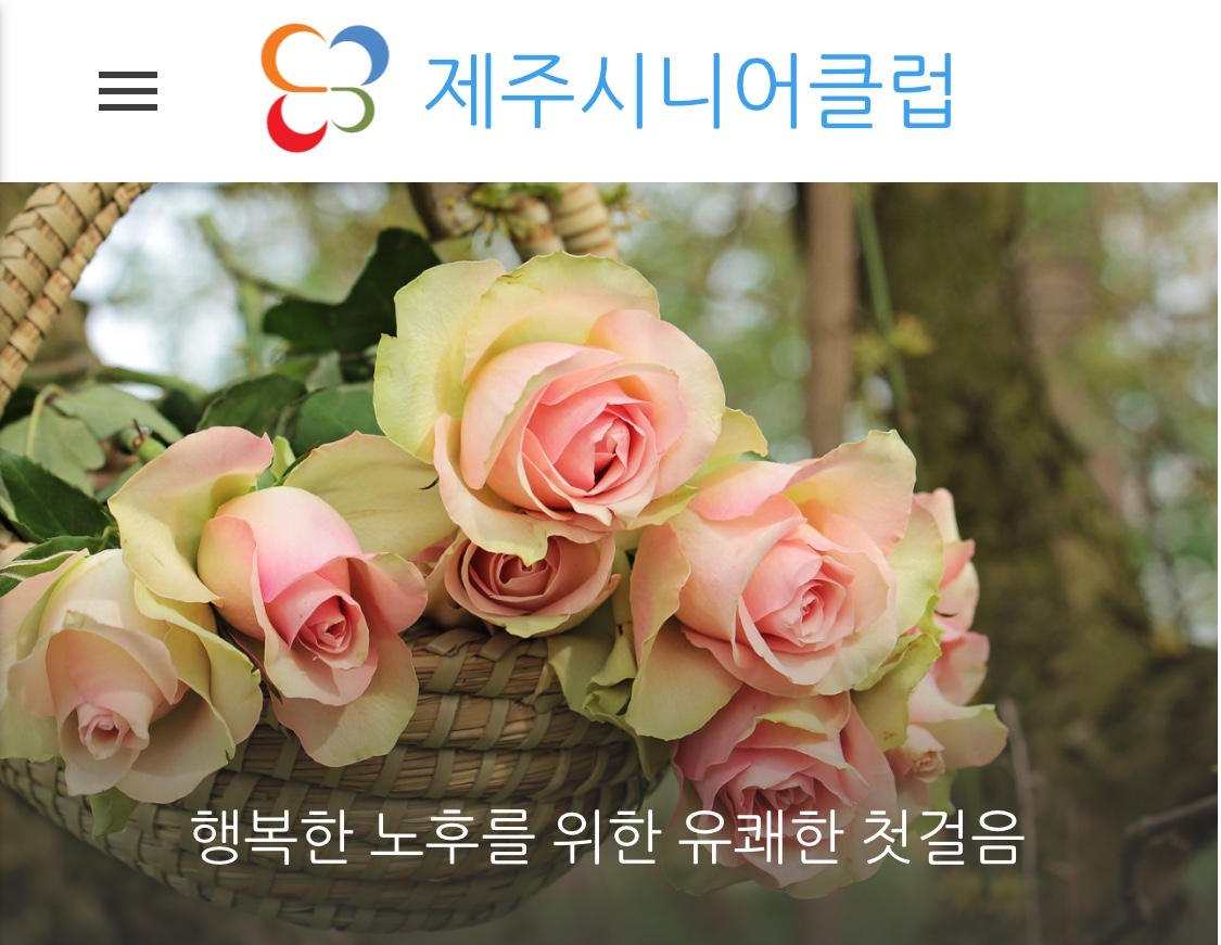 제주 시니어 클럽 사진