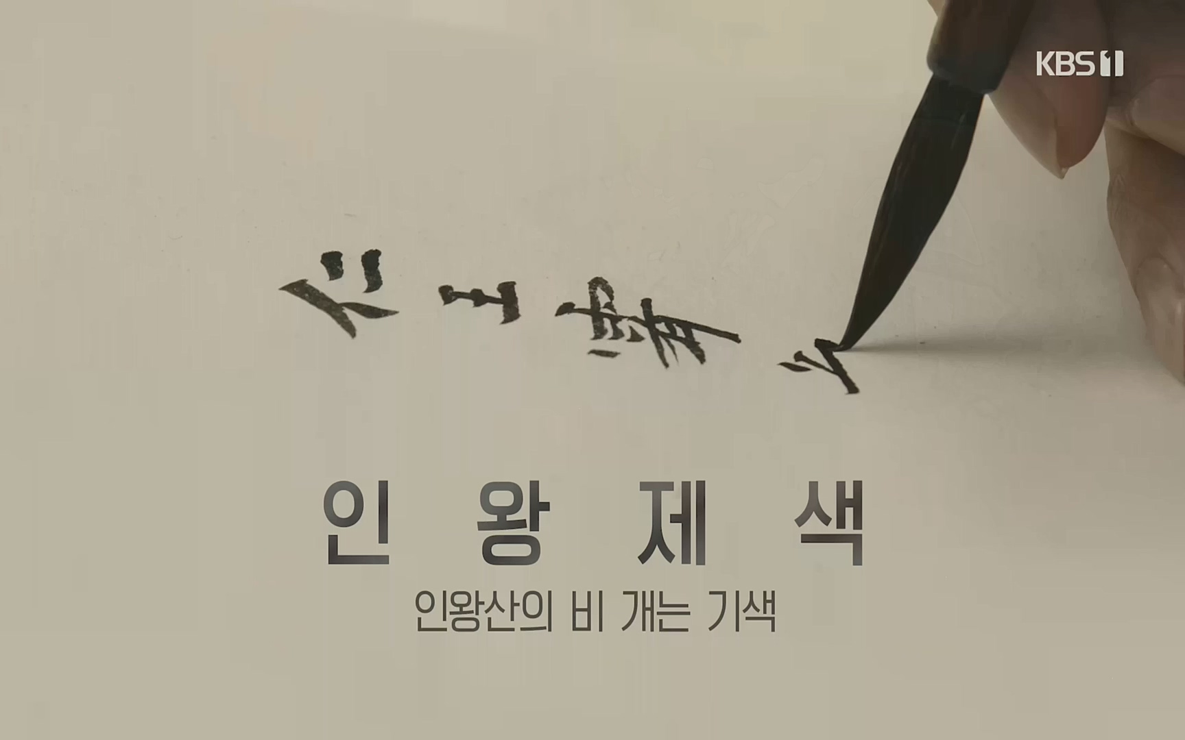 다큐 인사이트.E126.221006p.H264-F1RST.mp4_20221009_194049.725.jpg