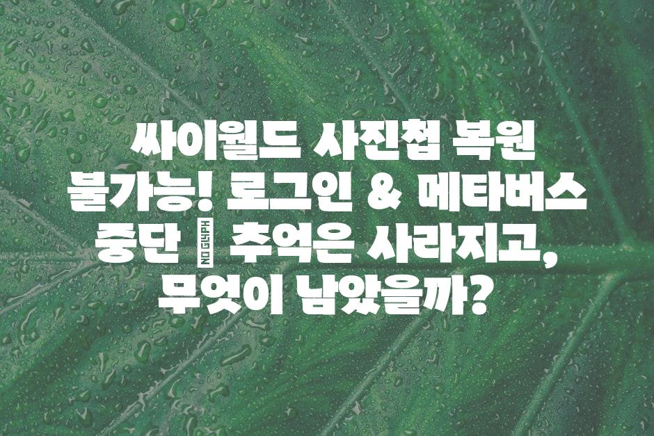 샘플 (44)