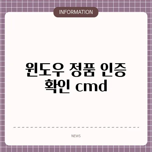 윈도우 정품 인증 확인 cmd
