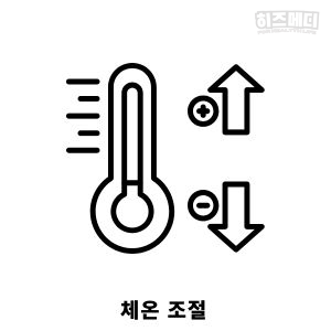 비타민D 부족증상