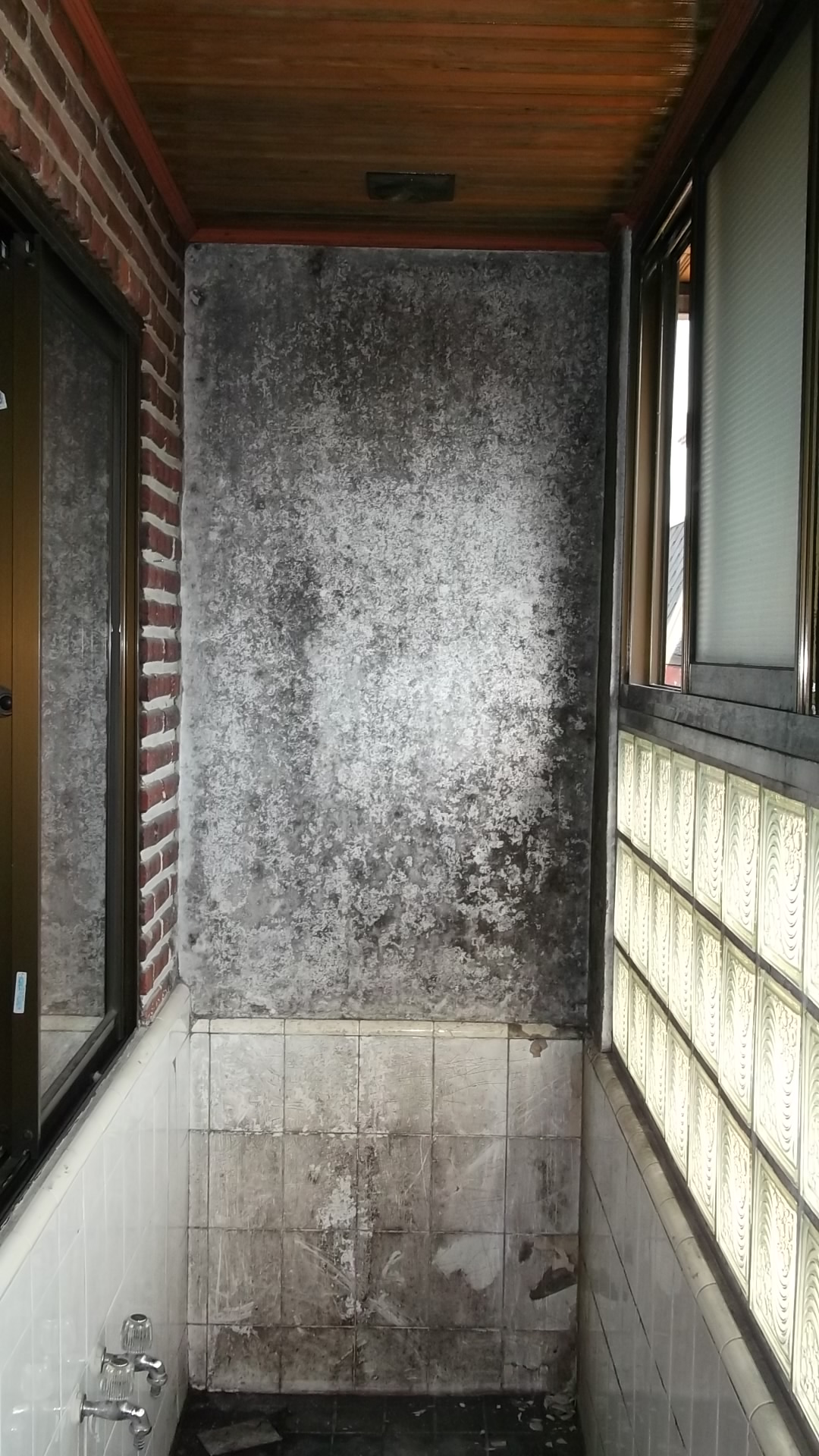  벽, 벽지 곰팡이제거업체 비용은 얼마 일까?