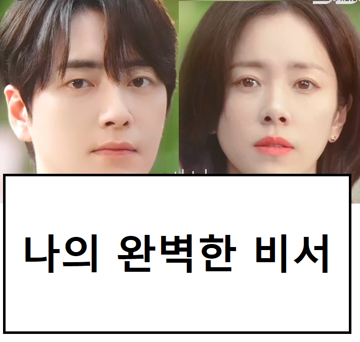 나의 완벽한 비서 정보