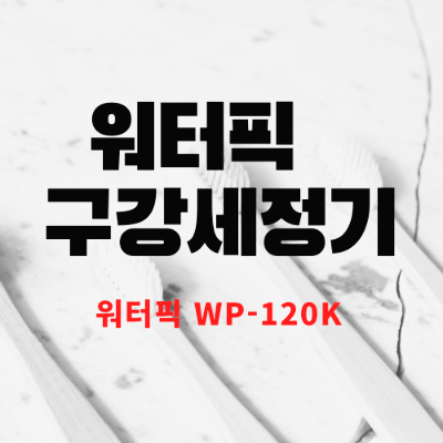  워터픽 (구강세정기) wp-120k 사용후기 장단점