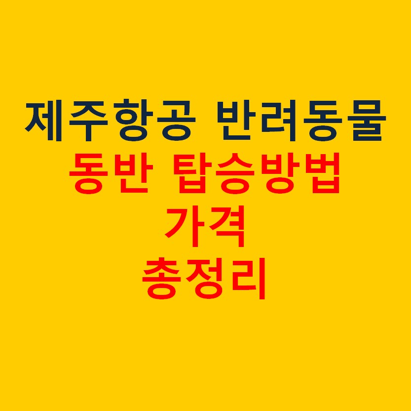 제주항공 반려동물 동반 탑승방법 및 가격 총정리