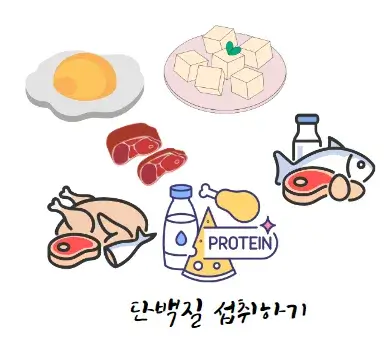 식후 1시간 혈당강하법 단백질 섭취