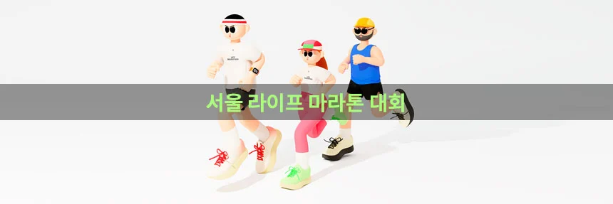  서울 라이프 마라톤 대회 참가 신청 및 코스 자세한 안내: 11월 마라톤 대회