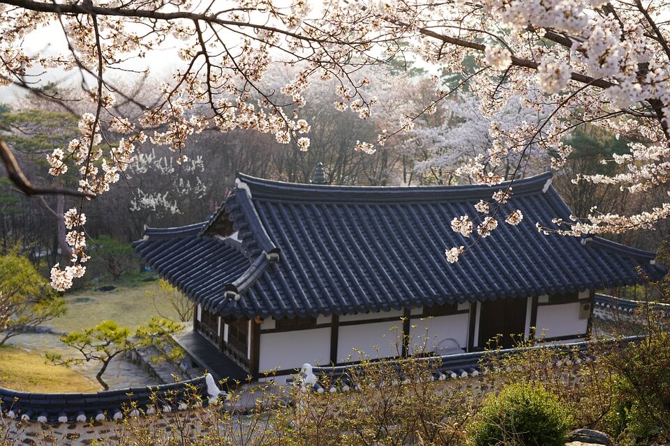 창덕궁 달빛 기행