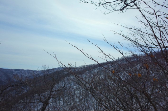  겨울철 목에 좋은 음식 8가지