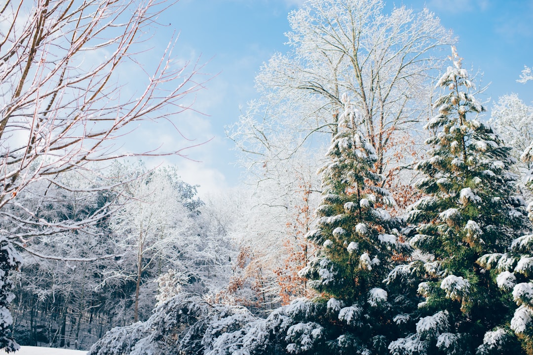 Winter.