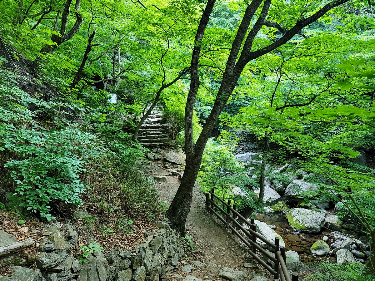 소백산국립공원 희방제2주차장 이미지