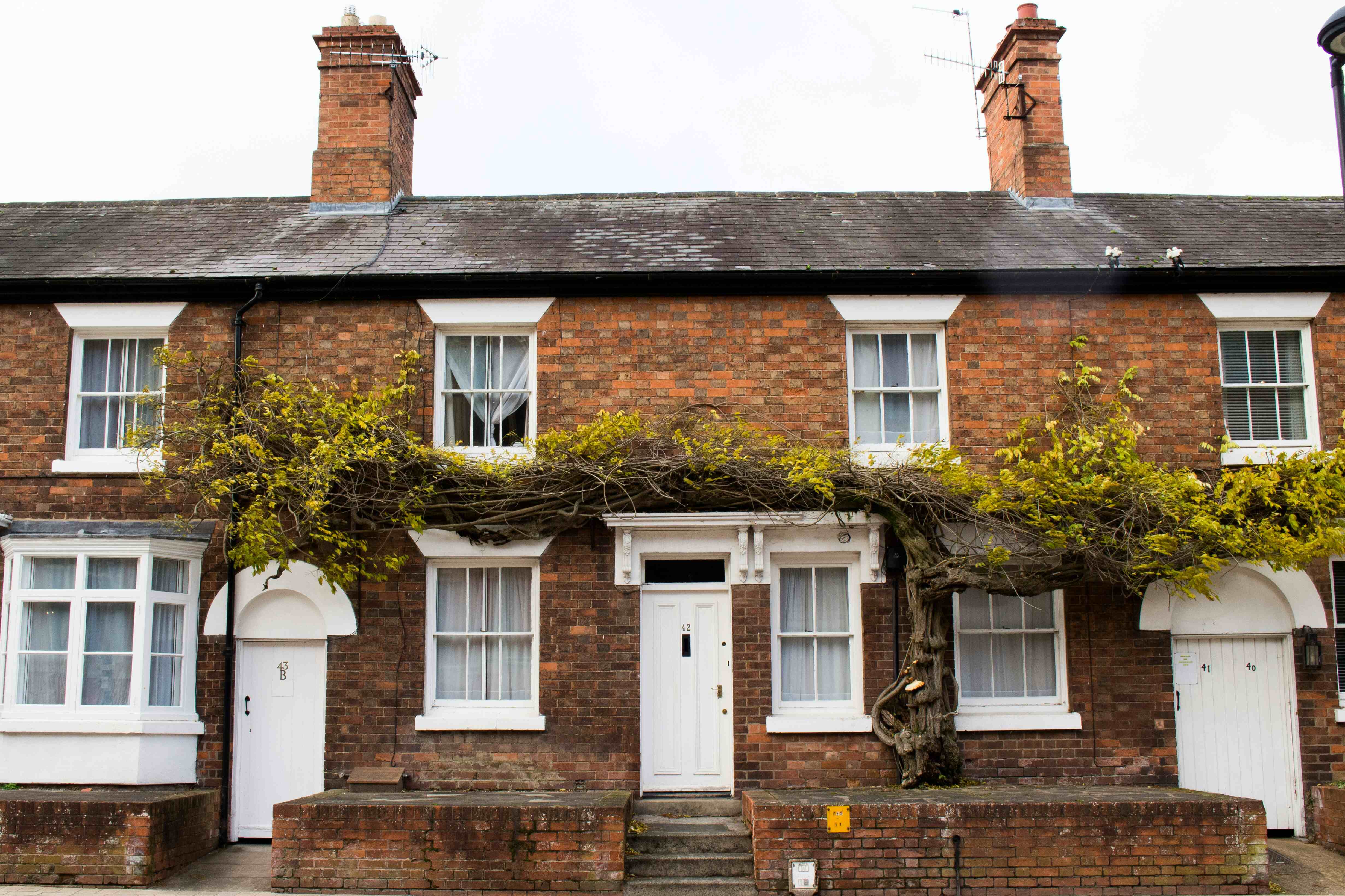 영국 Terraced Houses