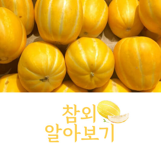 참외 세척방법과 보관방법 알아보기