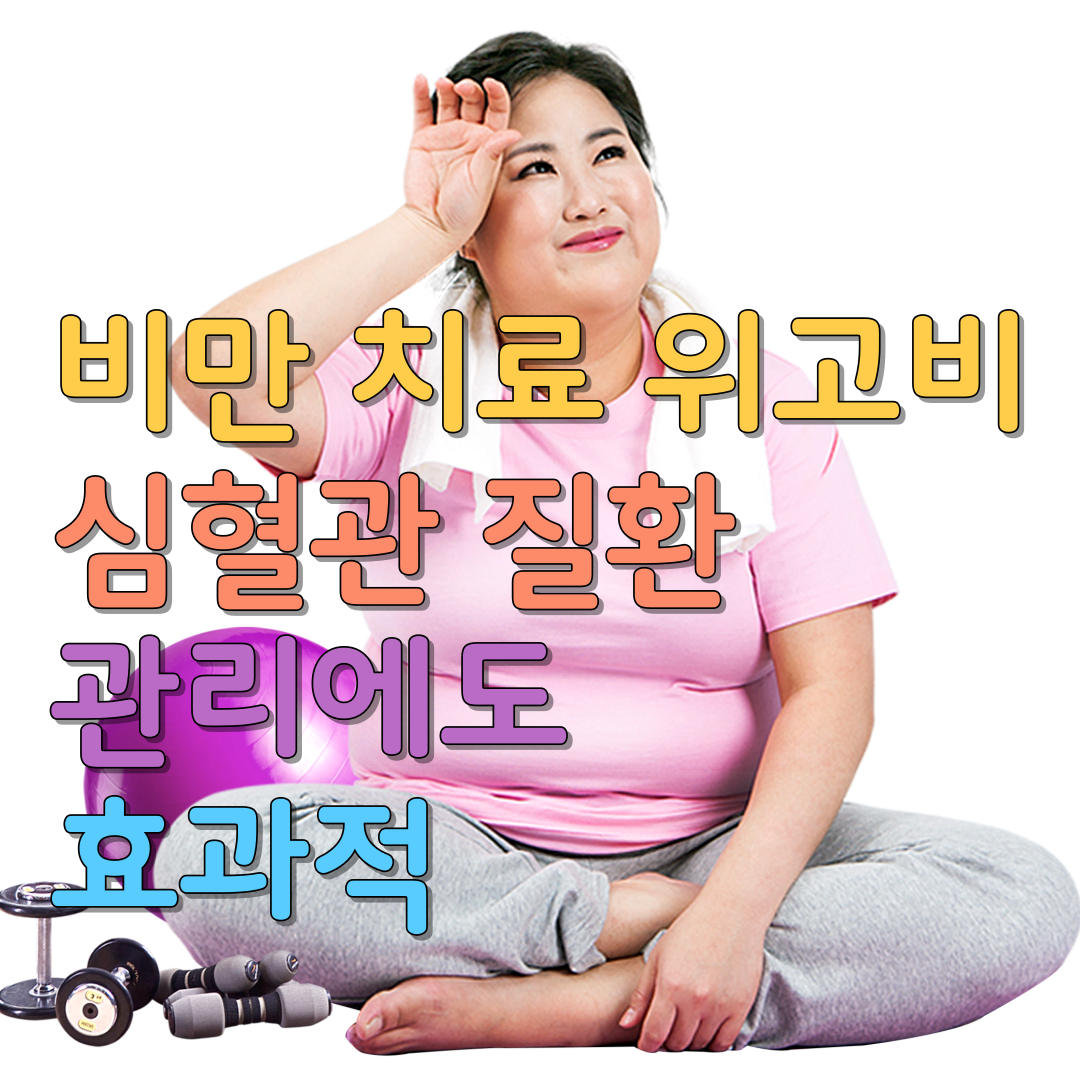 비만 치료 위고비 심혈관 질환 관리에도 효과적