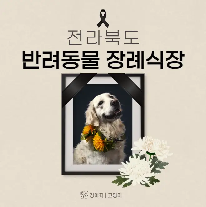  전북 반려동물 장례식장 고양이 강아지 장례 화장 업체 6곳