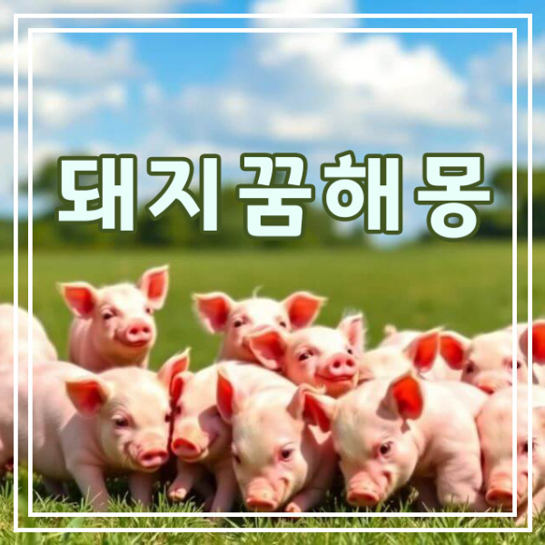 귀여운-돼지들