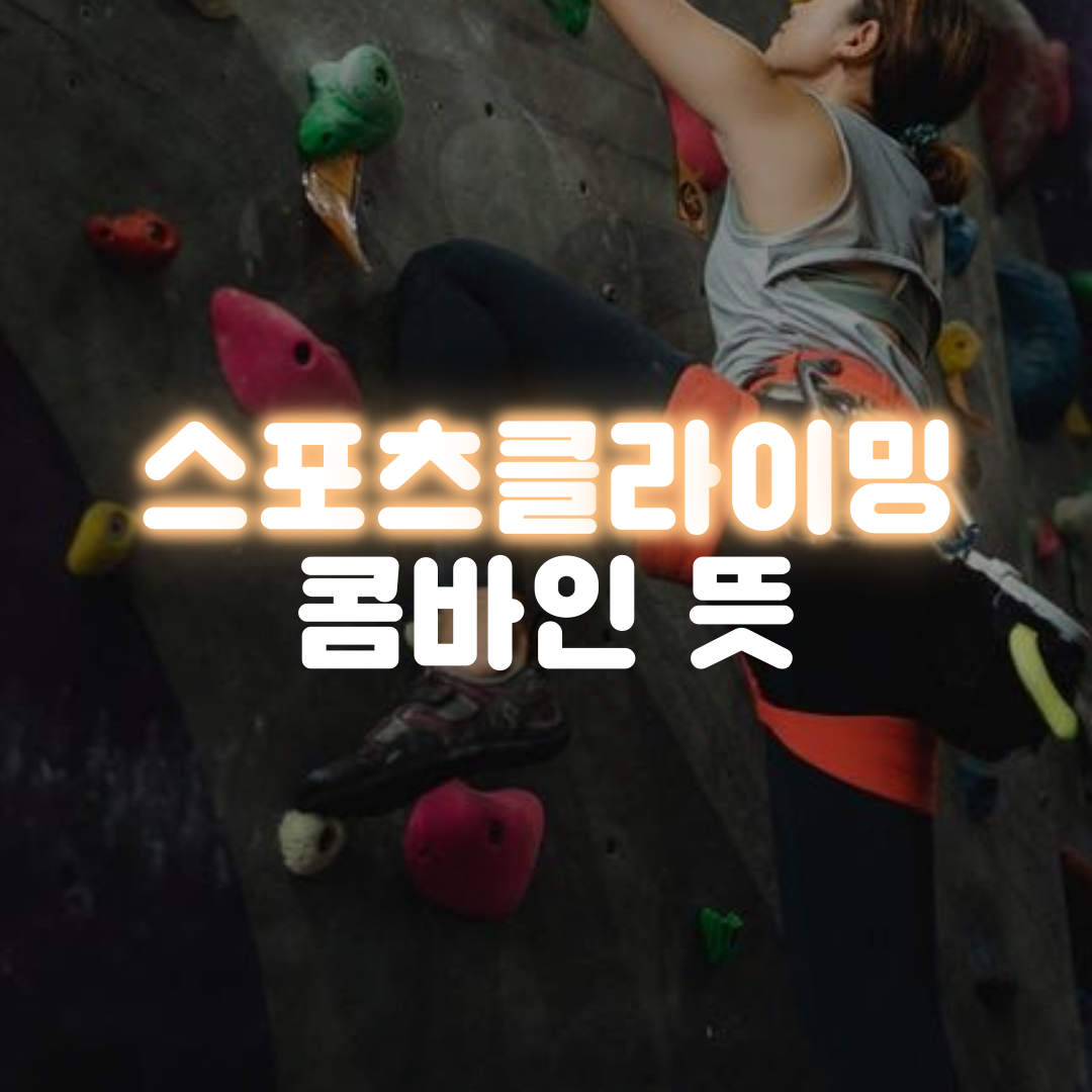  스포츠클라이밍 콤바인 뜻
