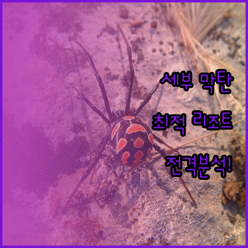 세부 막탄 리조트 완벽 분석! 당신의